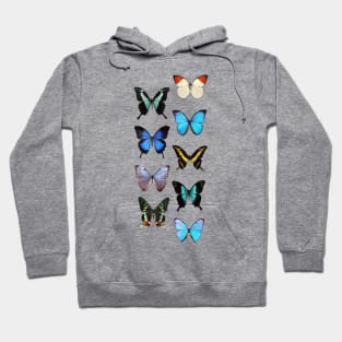 Butterflies 1 Hoodie